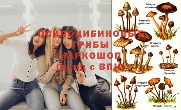 синтетический гашиш Балахна