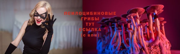 синтетический гашиш Балахна
