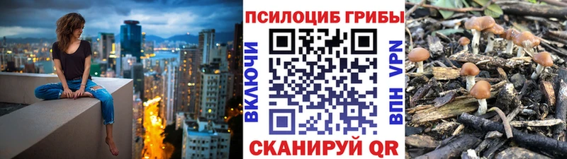 где купить   Новопавловск  Галлюциногенные грибы прущие грибы 